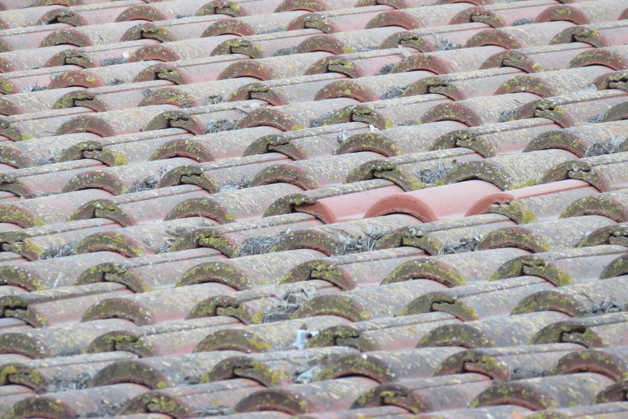 Damaged shingles on a roof in reference to Kentucky’s matching shingle